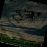 Road Hazard Detection 5 project thumbnail