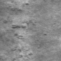 Steel Surface Defect Detection Object Detection Dataset by workspace3773no