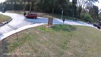Person-monkey-dog detection project thumbnail