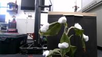 Agrobot project thumbnail
