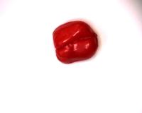 detection  project thumbnail