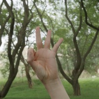 9 project thumbnail
