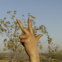 3 project thumbnail