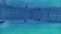 annotation_of_underwater_objects project thumbnail