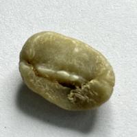 Green Coffee Bean Defects project thumbnail