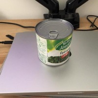 Dataset Image
