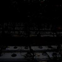 tomato _segment_SAM project thumbnail