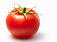 Ripe and unripe tomatoes project thumbnail