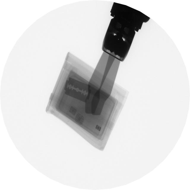 Razor Detector Object Detection Model by aiprojects