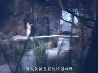 watermark detection project thumbnail