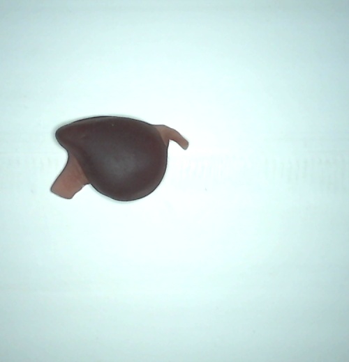 candy Object Detection Model by jyu