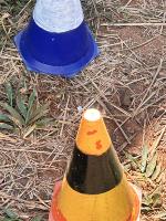Cones Model project thumbnail