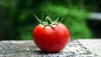 Tomato and Cherry project thumbnail