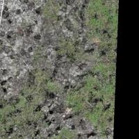marshes drone semantic project thumbnail