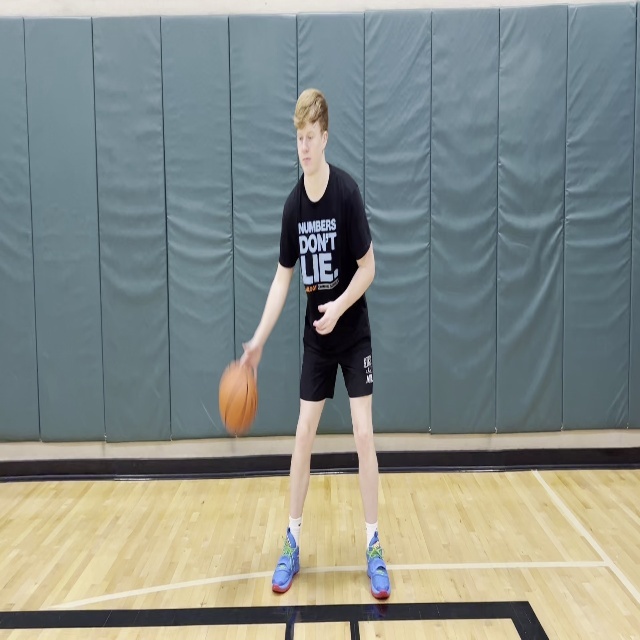 210 BHB Object Detection Dataset by basketball dribbling auto label 1