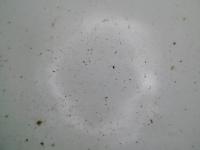 Pest_Detection_IoT project thumbnail