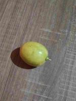 BUAH project thumbnail