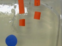 needle-keypoint project thumbnail
