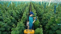 Smartfarm_Test_230523 project thumbnail