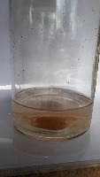 water project thumbnail