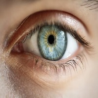 eyes project thumbnail