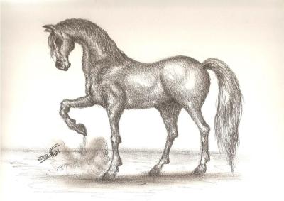 Main (main-sefen) - Roboflow Universe