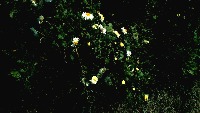 test datasets project thumbnail