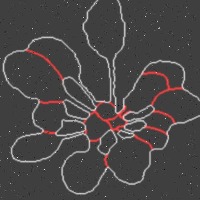 Plant_top_view project thumbnail