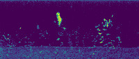 Fish project thumbnail