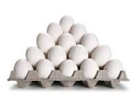 eggs project project thumbnail