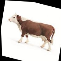 Sapi project thumbnail