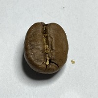 Data Set Single Beans project thumbnail