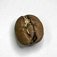 Data Set Single Beans 1 project thumbnail