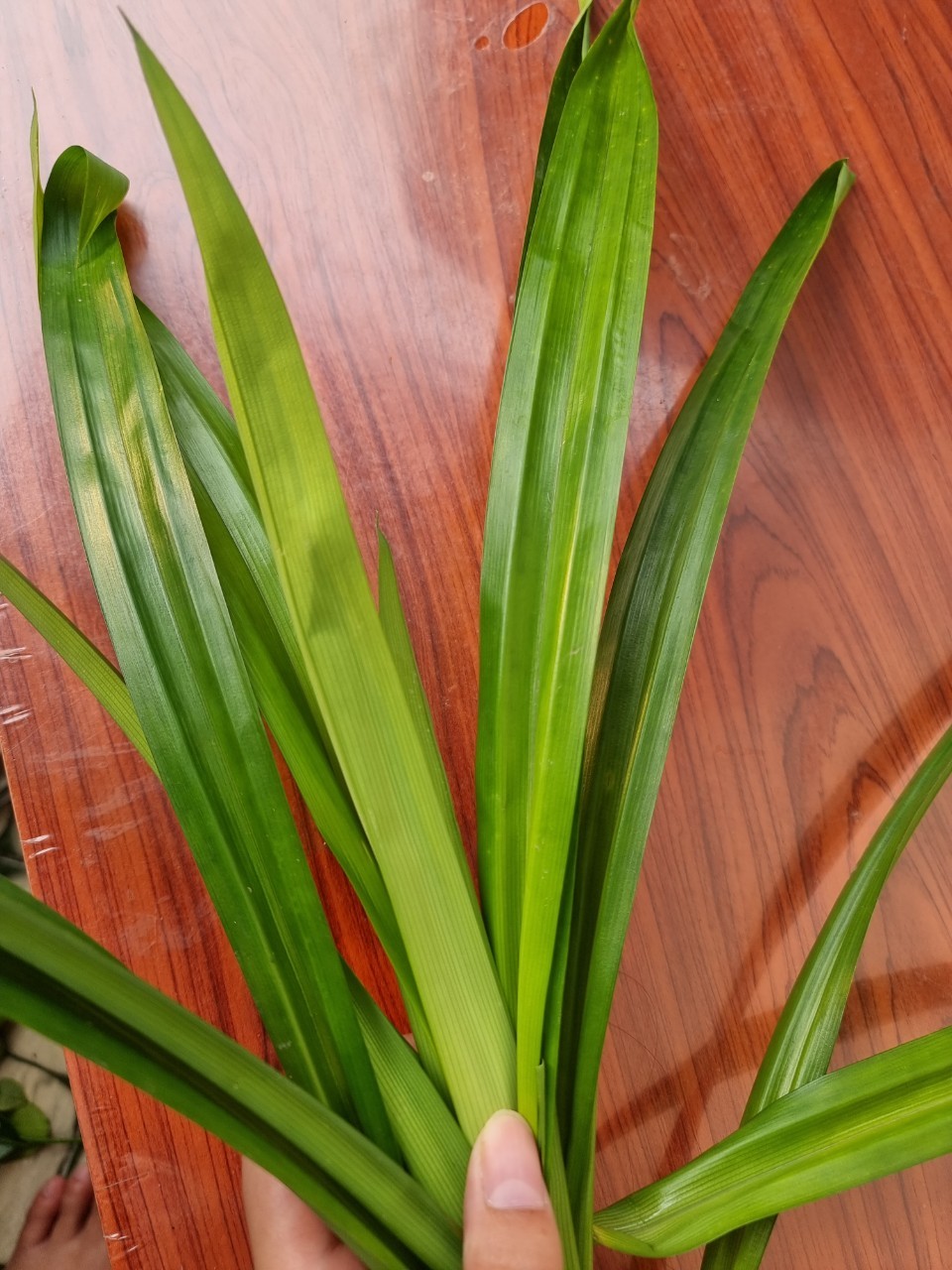 Pan Object Detection Model (v1, Pan2022-03-02 11:48pm) by new-workspace ...