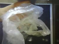 Plastic Bag Model project thumbnail