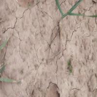 weed detection project thumbnail