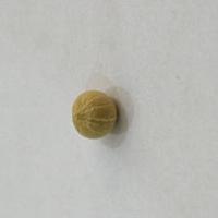 pepperseeds project thumbnail