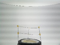 SMARTBin3 Dataset V2 (Classify) project thumbnail