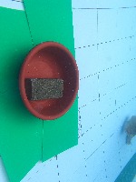 mobil penjaga sawah project thumbnail