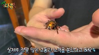 캡스톤 project thumbnail