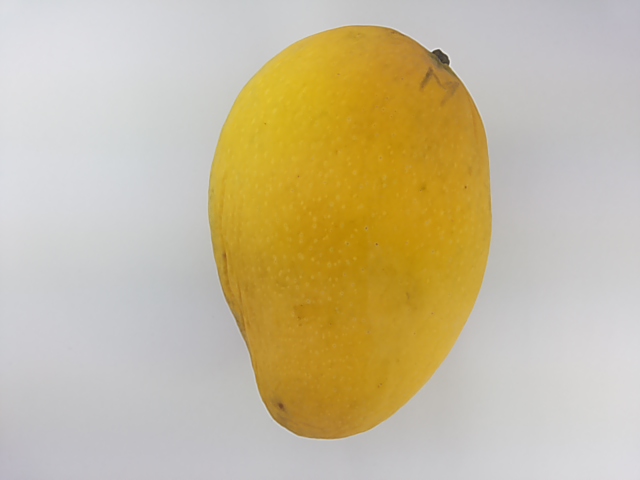 Hayss Object Detection Dataset by Maaron