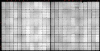 225images_10082022 project thumbnail