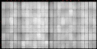 255images_08082022 project thumbnail
