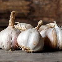 Ginger and Garlic object segmetation project thumbnail