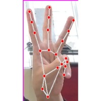 Hand gesture Object Detection Model by Ho Chi Minh City University of ...
