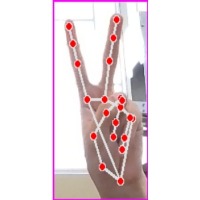 Hand gesture Object Detection Model by Ho Chi Minh City University of ...