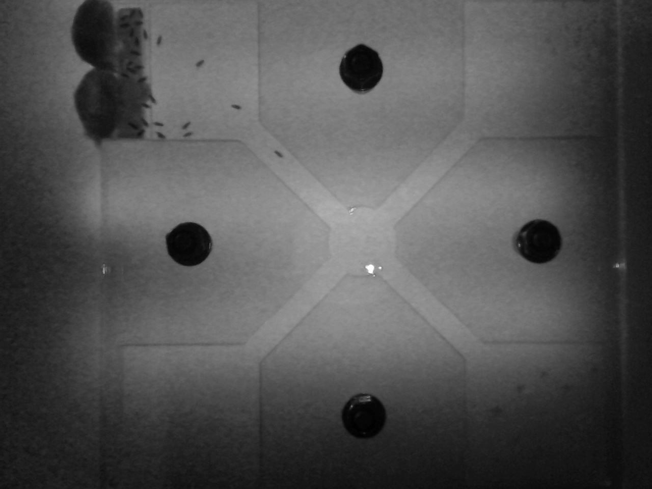 Objectpal objectplay Object Detection Model by epfl
