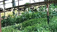 plants_train project thumbnail
