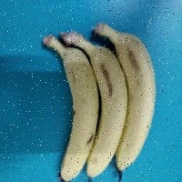 banana project thumbnail
