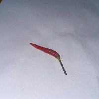 CHILI OBJECT DETECTION project thumbnail